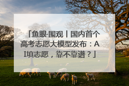 鱼眼·围观丨国内首个高考志愿大模型发布：AI填志愿，靠不靠谱？