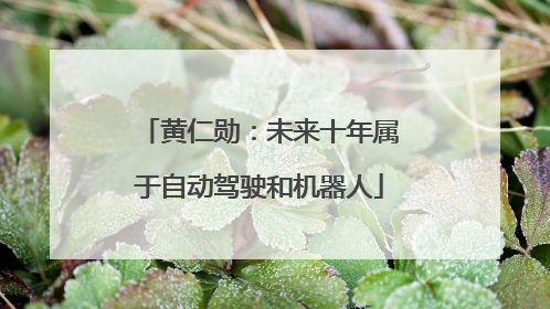 黄仁勋：未来十年属于自动驾驶和机器人