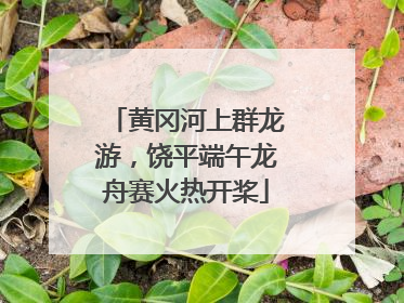 黄冈河上群龙游，饶平端午龙舟赛火热开桨