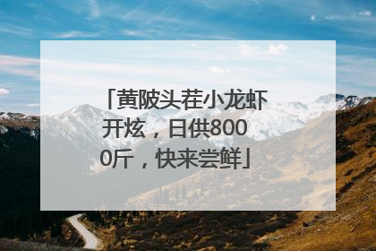 黄陂头茬小龙虾开炫，日供8000斤，快来尝鲜