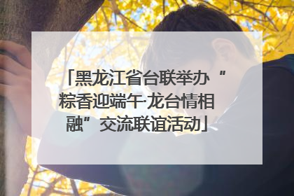 黑龙江省台联举办“粽香迎端午·龙台情相融”交流联谊活动