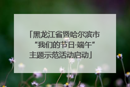 黑龙江省暨哈尔滨市“我们的节日·端午”主题示范活动启动