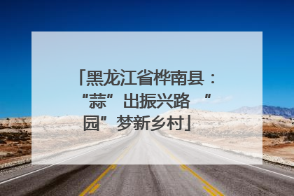 黑龙江省桦南县：“蒜”出振兴路 “园”梦新乡村