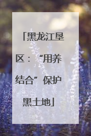 黑龙江垦区：“用养结合”保护黑土地