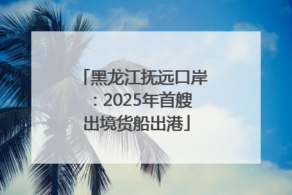 黑龙江抚远口岸：2025年首艘出境货船出港