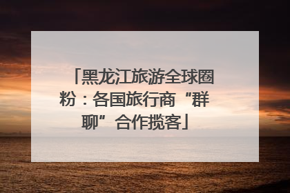 黑龙江旅游全球圈粉：各国旅行商“群聊”合作揽客