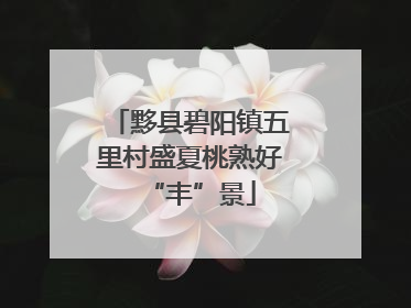 黟县碧阳镇五里村盛夏桃熟好“丰”景