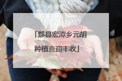 黟县宏潭乡元胡种植喜迎丰收