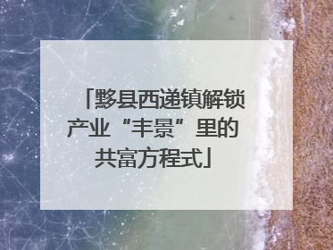 黟县西递镇解锁产业“丰景”里的共富方程式