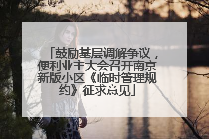 鼓励基层调解争议，便利业主大会召开南京新版小区《临时管理规约》征求意见