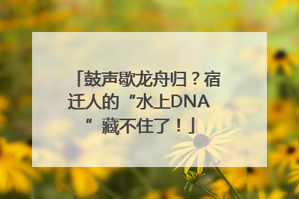鼓声歇龙舟归？宿迁人的“水上DNA”藏不住了！