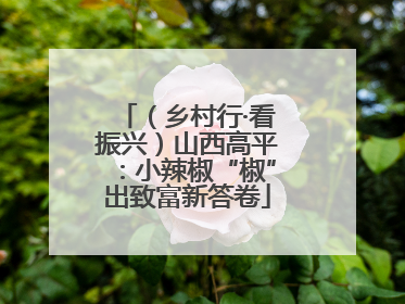 （乡村行·看振兴）山西高平：小辣椒“椒”出致富新答卷