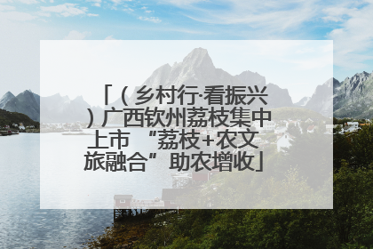 （乡村行·看振兴）广西钦州荔枝集中上市 “荔枝+农文旅融合”助农增收