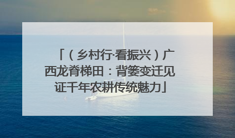 （乡村行·看振兴）广西龙脊梯田：背篓变迁见证千年农耕传统魅力