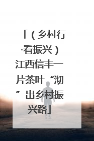 （乡村行·看振兴）江西信丰一片茶叶“沏”出乡村振兴路