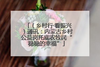 （乡村行·看振兴）通讯：内蒙古乡村公益岗托底农牧民“稳稳的幸福”