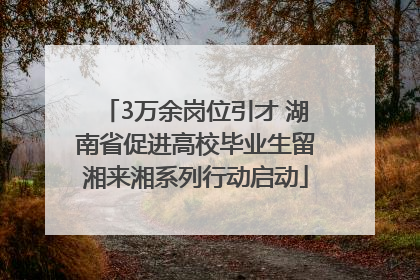 3万余岗位引才 湖南省促进高校毕业生留湘来湘系列行动启动
