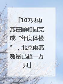 107只雨燕在颐和园完成“年度体检”，北京雨燕数量已超一万只