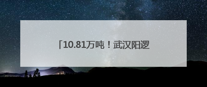 10.81万吨！武汉阳逻港直航货运量创十年新高