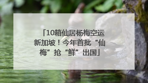 10箱仙居杨梅空运新加坡！今年首批“仙梅”抢“鲜”出国