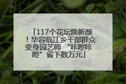 117个花坛焕新颜！华容临江乡干部群众变身园艺师 “咔嚓咔嚓”省下数万元