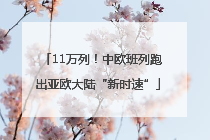 11万列！中欧班列跑出亚欧大陆“新时速”