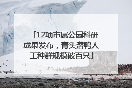 12项市属公园科研成果发布，青头潜鸭人工种群规模破百只