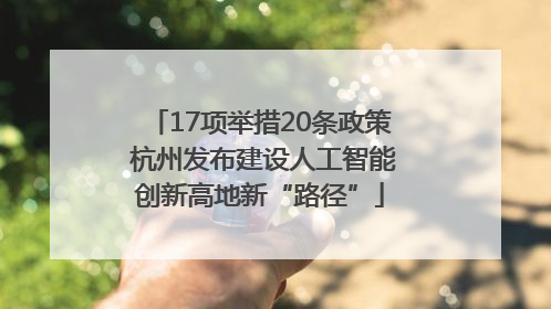 17项举措20条政策 杭州发布建设人工智能创新高地新“路径”