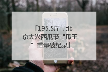 195.5斤，北京大兴西瓜节“瓜王”重量破纪录
