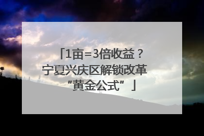 1亩=3倍收益？宁夏兴庆区解锁改革“黄金公式”