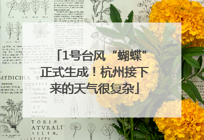 1号台风“蝴蝶”正式生成！杭州接下来的天气很复杂