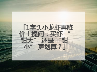 1字头小龙虾再降价！提问：买虾 “钳大” 还是 “钳小” 更划算？