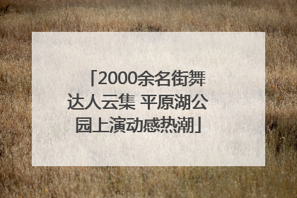 2000余名街舞达人云集 平原湖公园上演动感热潮