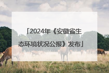 2024年《安徽省生态环境状况公报》发布