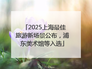 2025上海最佳旅游新场景公布，浦东美术馆等入选