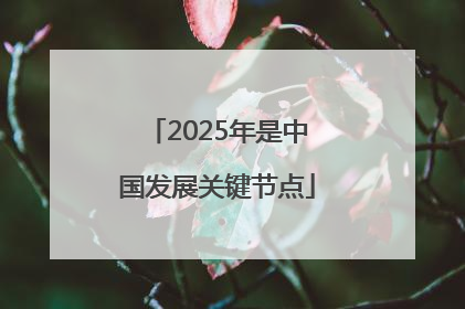 2025年是中国发展关键节点
