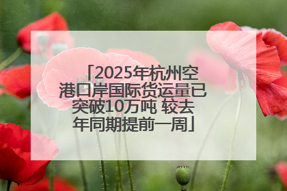 2025年杭州空港口岸国际货运量已突破10万吨 较去年同期提前一周