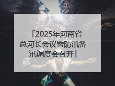 2025年河南省总河长会议暨防汛备汛调度会召开
