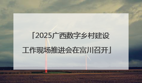 2025广西数字乡村建设工作现场推进会在富川召开