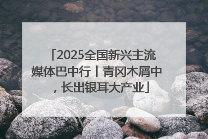 2025全国新兴主流媒体巴中行丨青冈木屑中，长出银耳大产业