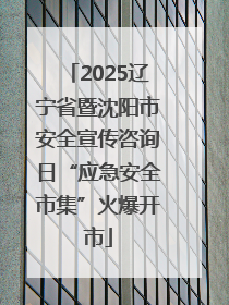 2025辽宁省暨沈阳市安全宣传咨询日“应急安全市集”火爆开市