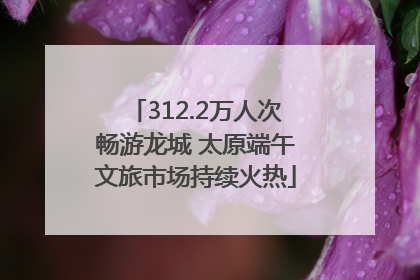 312.2万人次畅游龙城 太原端午文旅市场持续火热
