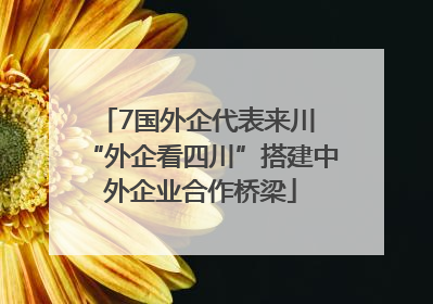 7国外企代表来川 “外企看四川”搭建中外企业合作桥梁