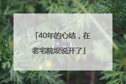 40年的心结，在老宅院坝说开了