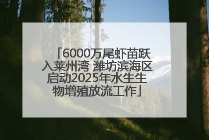 6000万尾虾苗跃入莱州湾 潍坊滨海区启动2025年水生生物增殖放流工作