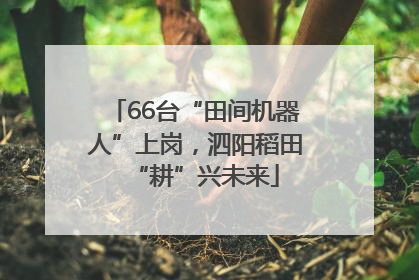 66台“田间机器人”上岗，泗阳稻田“耕”兴未来