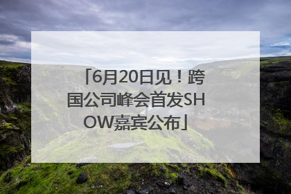 6月20日见！跨国公司峰会首发SHOW嘉宾公布