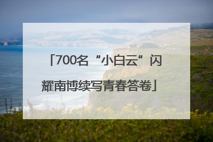 700名“小白云”闪耀南博续写青春答卷
