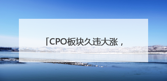 CPO板块久违大涨，“易中天”谁更胜一筹