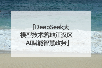DeepSeek大模型技术落地江汉区 AI赋能智慧政务